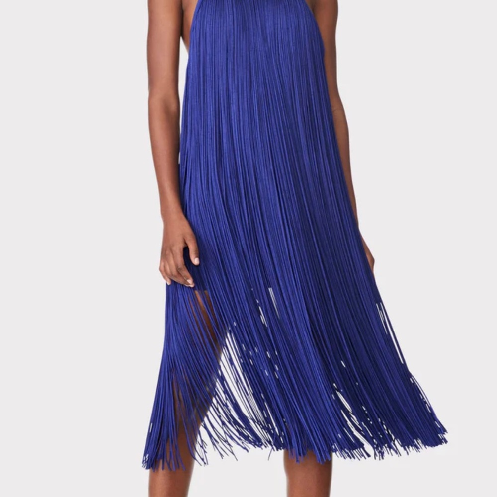 Herve Leger fringe dress size XS but runs like a S/M - Picture 2 of 9